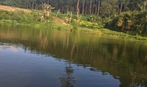 Desa Cikandang Miliki Potesnsi Alam yang Dapat Dijadikan Obyek Wisata Potensi wisata danau dan hutan pinus di desa Cikandang