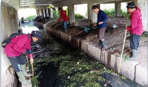 Cegah Banjir, Kecamatan Gedebage Lakukan Pengerukan Sungai