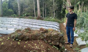 Aceng Suryana, 31, Warga Kampung Cigumentong, Desa Sindulang, Kecamatan Cimanggung, Kabupaten Sumedang saat menunjukkan makam Mr Jansen Tuan Block. (Yanuar Baswata/Jabar Ekspres)