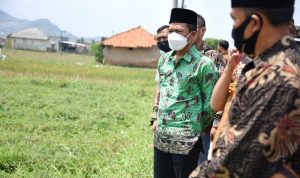 Tahun Ini, Bupati Bandung Targetkan Bangun Sekolah di 12 Titik Bupati Bandung, Dadang Supriatna.