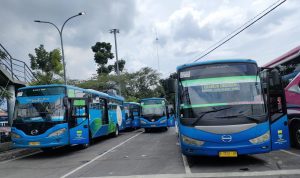 8 trayek layanan operasional damri berhenti