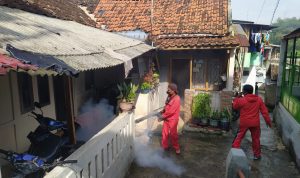 Kasus DBD Meningkat, 10 Warga Cimahi Meninggal Dunia