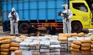 Truk Berisi Ratusan Kilogram Ganja Siap Edar Ditangkap Polres Jakbar Penyidik memperlihatkan tersangka dan barang bukti narkoba jenis ganja saat melakukan penangkapan di Jalan Raya Narogong-Siliwangi, Rawalumbu, Kota Bekasi, Jawa Barat, Senin (10/8/2020). BNN berhasil menangkap dua orang tersangka dan menyita barang bukti sebanyak 500 kg ganja asal Aceh yang diangkut menggunakan truk dengan modus ditutup buah pisang. ANTARA FOTO/ Septian/aww.