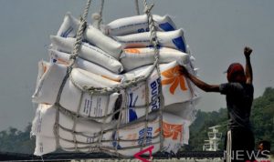 Ilustrasi: Pekerja menurunkan beras impor asal Vietnam dari kapal di Pelabuhan Indah Kiat, Merak, Cilegon, Banten. (Foto Antaranews.com)