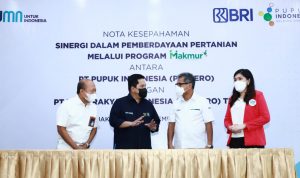 program bri pupuk makmur