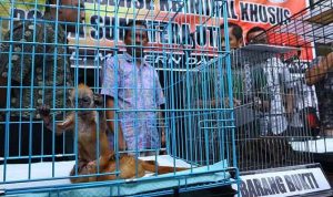 Maraknya Jual Beli Hewan Langka di Medsos, Pakar Hukum Minta Aparat Tindak Tegas