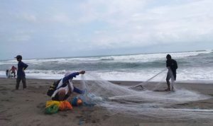 Nelayan Pantai Selatan Cianjur Raup Untung Selama Perubahan Musim Nelayan pinggiran pantai selatan Cianjur, Jawa Barat, kembali mendapat penghasilan saat pergantian musim, dimana ikan selar atau lebih dikenal ikan jenggot, melimpah mendekati pantai.ANTARA POTO (Ahmad Fikri)