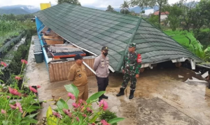10 Ibu-Ibu Tani Tertimpa Bangunan Bale Saat Hujan Deras 10 Ibu-Ibu Tani Tertimpa Bangunan Bale Saat Hujan Deras