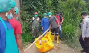 Kronologi Terduga Maling Sayur Dikeroyok dan Dikubur Hidup-hidup