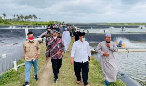 Staf Khusus Wakil Presiden (Stafsus wapres) bidang Ekonomi dan Keuangan Lukmanul Hakim (kedua dari kanan) berkunjung ke kawasan tambak udang Qini Vaname yang dikembangkan Pesantren Al-Idrisiyyah Tasikmalaya di Kabupaten Tasikmalaya, Jawa Barat. (Antara/HO/stafsus wapres)
