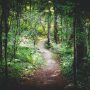 ILUSTRASI/UNSPLASH.
