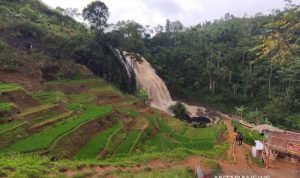Debit air di Curug Cikondang di Kecamatan Campaka Mulya, Cianjur, Jawa Barat, terus meningkat seiring tingginya curah hujan di sebagian besar wilayah Cianjur. ANTARA/ Ahmad Fikri
