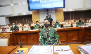 panglima tni andika perkasa
