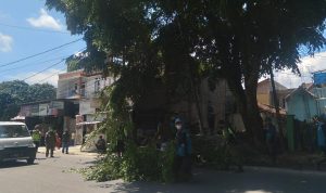 Antisipasi Pohon Tumbang di Musim Penghujan, BPBD Sumedang Siapkan Hal Ini Antisipasi Pohon Tumbang di Musim Penghujan, BPBD Sumedang Siapkan Hal Ini