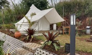 Suasana glamping atau glamour camping yang berada di Alam Wisata Cimahi, Minggu (14/11). (Intan Aida/Jabar Ekspres)