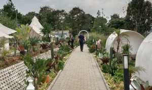 Suasana pengunjung sedang di sekitar di tempat wisata Kalasenja Family Cimahi, Minggu (14/11). (Intan Aida/Jabar Ekspres)