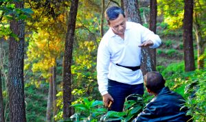 Dampak Pandemi, Kopi Kabupaten Bandung Salah Satu Komoditas yang Bertahan