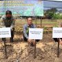 Dispertan Kabupaten Tangerang Kembangkan Tanaman Porang