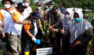 Dok. Kepala Dinas Hutan Provinsi Jawa Barat menanam dan menyiram pohon. Foto: Prajab.