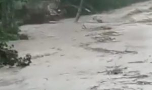Sungai Cijolang Meluap Hingga Pohon-pohon Bertumbangan