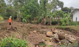 Pohon Keras Harus Banyak Ditanam untuk Antisipasi Banjir di Garut Petugas meninjau kerusakan akibat banjir bandang melanda Kecamatan Sukaresmi, Kabupaten Garut, Jawa Barat, Selasa (9112021). ANTARAHO-Dok.pribadi