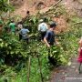 Petugas bersama warga di Kecamatan Takokak, Cianjur, Jawa Barat, berupaya membuka kembali jalan antar desa yang terputus akibat longsor, Senin (29/11/2021). (FOTO ANTARA/Ahmad Fikri)