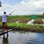 Kawasan kebun terapung dikembangkan warga Bangladesh di daerah yang sering terendam Banjir (Foto: Arabnews)