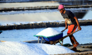 Tak Laku Dijual, Stok Garam Lokal Karawang Melimpah Ilustrasi produksi garam. (ANTARA FOTO/Saiful Bahri/dok)