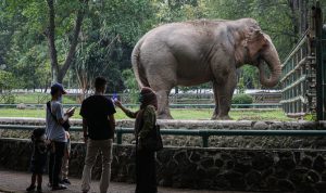 POLRI terapkan ganjil genap di tempat wisata selama libur nataru