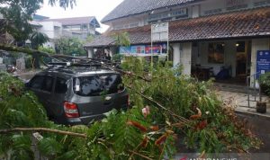 Sebuah pohon tumbang menimpa mobil warga di Kota Bandung, Jawa Barat, Rabu (10/11/2021). (ANTARA/Dokumentasi Pribadi)