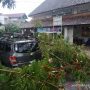 Sebuah pohon tumbang menimpa mobil warga di Kota Bandung, Jawa Barat, Rabu (10/11/2021). (ANTARA/Dokumentasi Pribadi)
