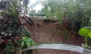 Makam di TPU Cikutra Kemarin Longsor, Distaru Akan Pasang Brojong Salahsatu titik longsor di TPU Cikutra. (Foto: Sandi Nugraha/Jabar Ekspres)