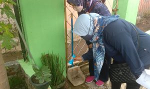 Salah satu petugas kesehatan di kawasan Kelurahan Cimahi sedang lakukan cek pemeriksaan pada pot untuk mengetahui adanya jentik nyamuk, Jumat (19/11). (Intan Aida/Jabar Ekspres)