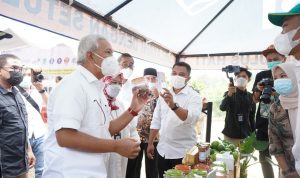 Tingkatkan Kesejahteraan Petani dengan Kemitraan Agribisnis Closed Loop