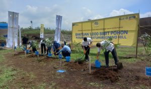 Momen penanaman bibit dalam rangka perayaan acara KPR BTN di kawasan Perumahaan Katumiri Grand Hill, Senin (29/11). (Intan Aida/Jabar Ekspres)