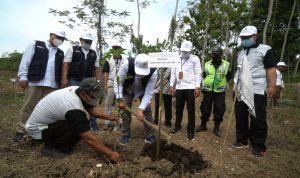 Bulan Menanam Nasional 2021, PLN UIP JBT Berikan Bantuan CSR 2.250 Pohon Produktif