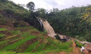 Peringatkan Wisatawan, BPBD Cianjur Ingatkan Waspada Jalur Rawan Bencana Debit air di Curug Cikondang di Kecamatan Campaka Mulya, Cianjur, Jawa Barat, terus meningkat seiring tingginya curah hujan di sebagian besar wilayah Cianjur. ANTARA/ Ahmad Fikri