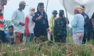 mentan petani karawang saran stok beras