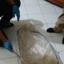 polisi mayat anak dalam karung