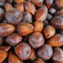 salak