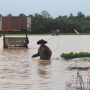 Dokumentasi - Petani menyelamatkan benih padi yang hanyut terbawa banjir di area persawahan Desa Alue Cek Doi, Kecamatan Julok, Aceh Timur. ANTARA FOTO/Syifa Yulinnas
