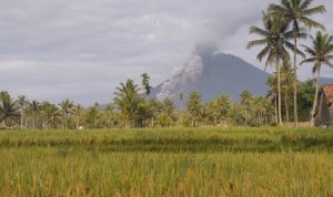 gunung semeru