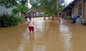 PKS Kritisi Banjir Di Calon Ibu Kota Negara Baru banjir