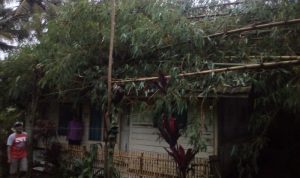 Garut Disapu Puting Beliung, Ratusan Atap Rumah Rusak, Puluhan Pohon Tumbang korban puting beliung