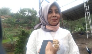 anggota DPRRI