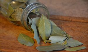 Ilustrasi: Manfaat toner daun salam. Foto: Pixabay