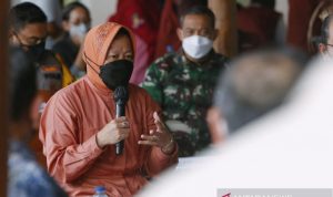 Santri Korban Pemerkosaan Akan Dibantu Urus Dokumen oleh Kemensos Agar Bisa Bersekolah Menteri Sosial Tri Rismaharini mengatakan bahwa kementerian Sosial (Kemensos) akan membantu mengurus dokumen agar santri korban pemerkosaan oleh seorang guru pesantren di Kota Bandung (ANTARA/HO-Kemensos)