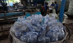 ilustrasi - Pekerja melakukan pencacahan sampah botol plastik menggunakan mesin untuk didaur ulang. ANTARA FOTO/Nyoman Hendra Wibowo/foc.