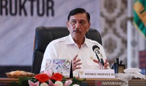 Menko Kemaritiman dan Investasi Luhut Binsar Pandjaitan . ANTARA/HO-Kemenko Kemaritiman dan Investasi/aa. (Handout Kemenko Kemaritiman dan Investasi)