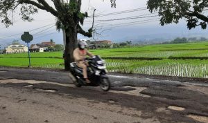 DPUTR Kabupaten Bandung Menyangkal Terkait Database DPUTR Kabupaten Bandung Menyangkal Terkait Database.